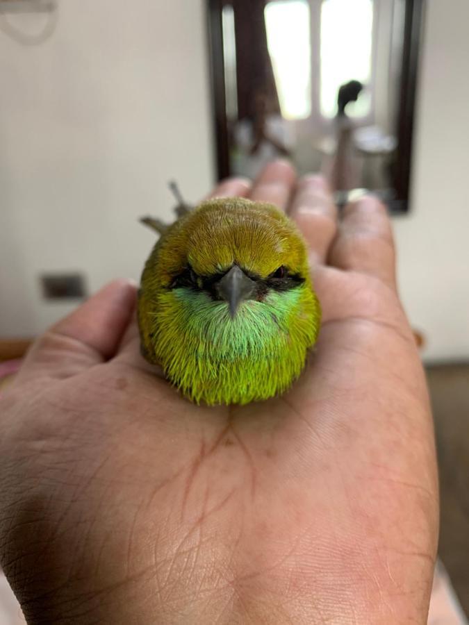 Nature Resort アーグラ エクステリア 写真